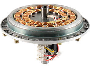 Ceiling Fan Motor