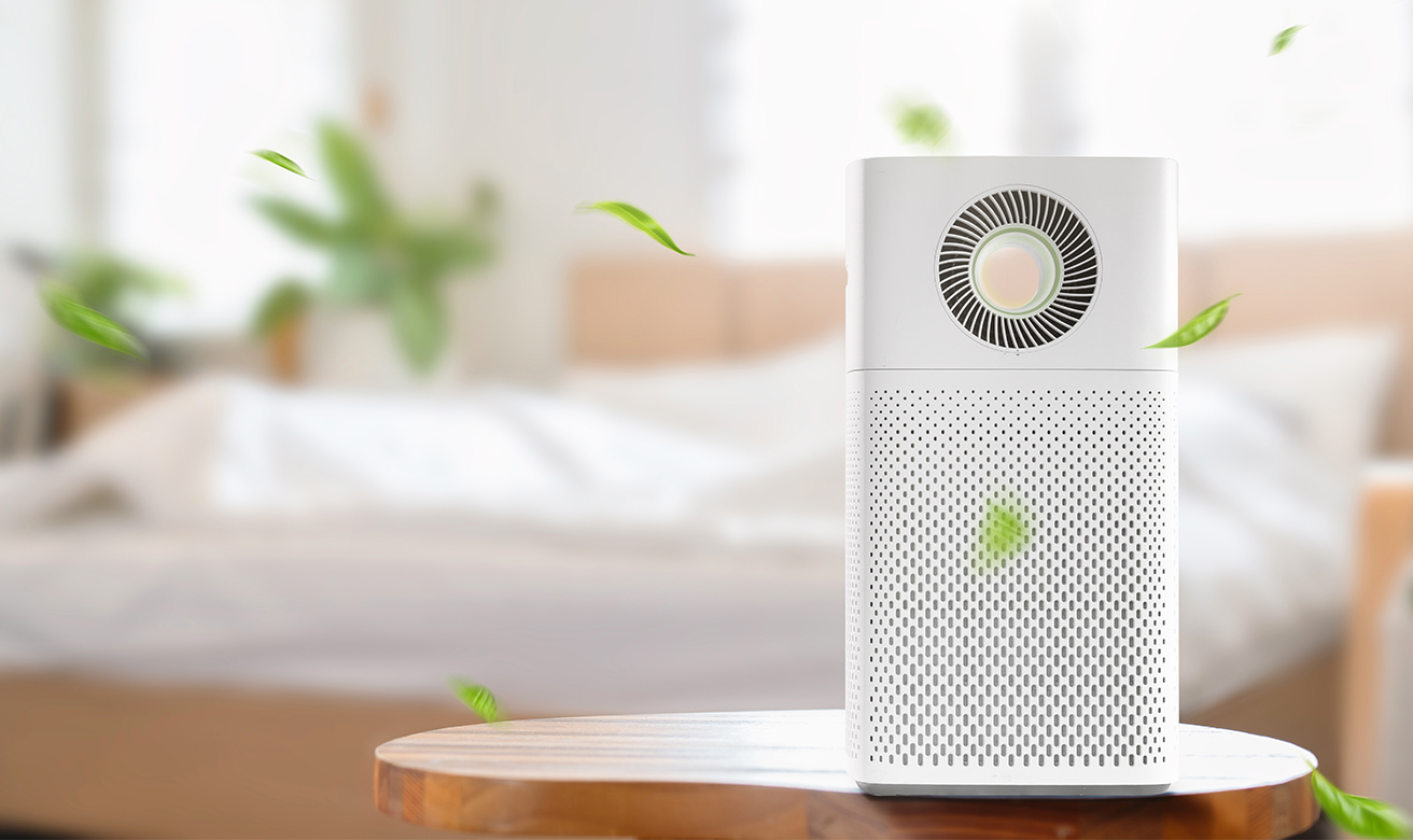 Air Purifier Motors