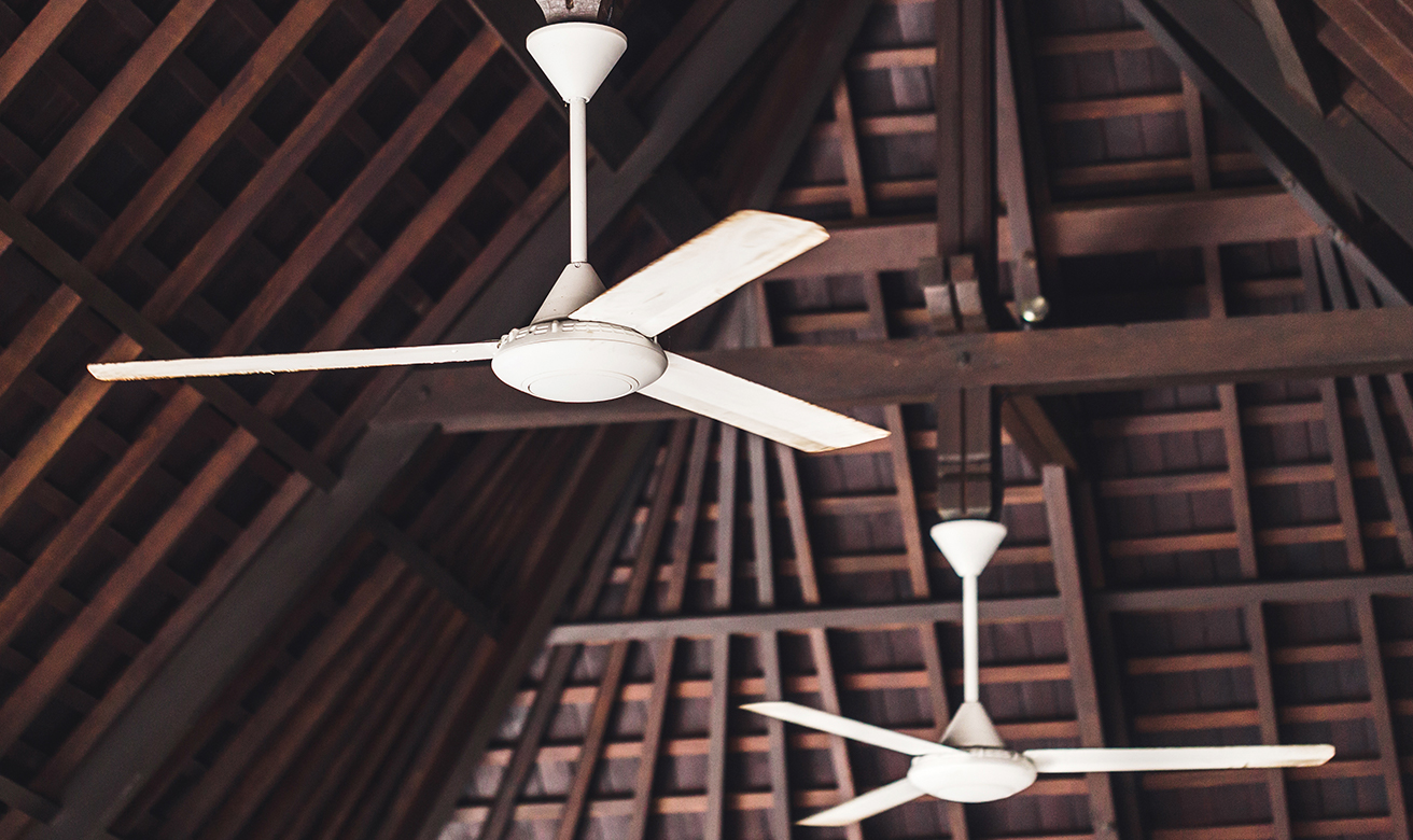 Ceiling Fan Motor